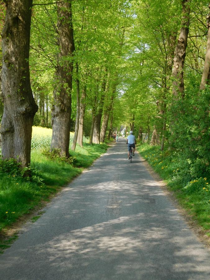 Ferienwohnung Kurpark Xanten Zewnętrze zdjęcie
